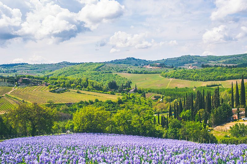 Azienda Agricola Manetti Leonardo