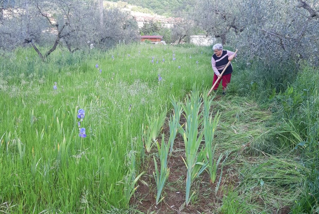 Azienda agricola Bazzini Gabbriella