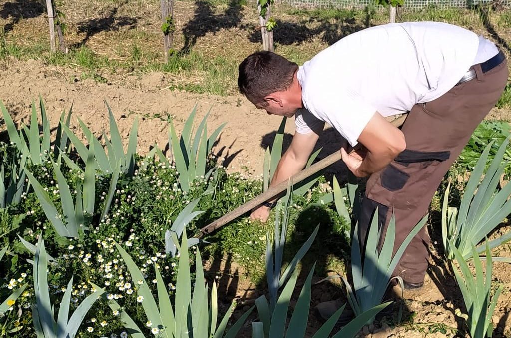 Azienda Agricola Antonielli